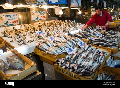 fish shop|About .